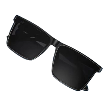 Double Poly Sunglass